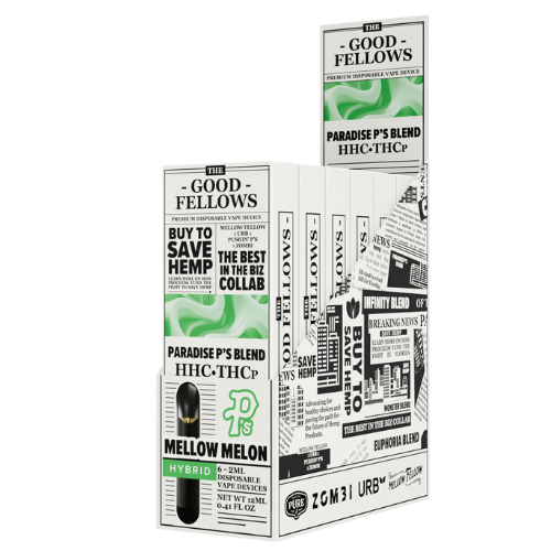 The Good Fellows Disposable 2G - 6 Count Display