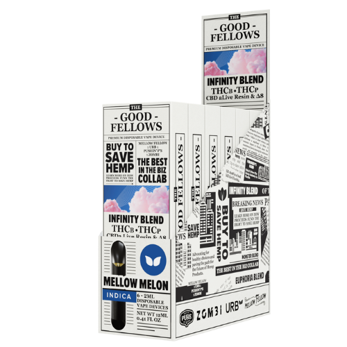 The Good Fellows Disposable 2G - 6 Count Display